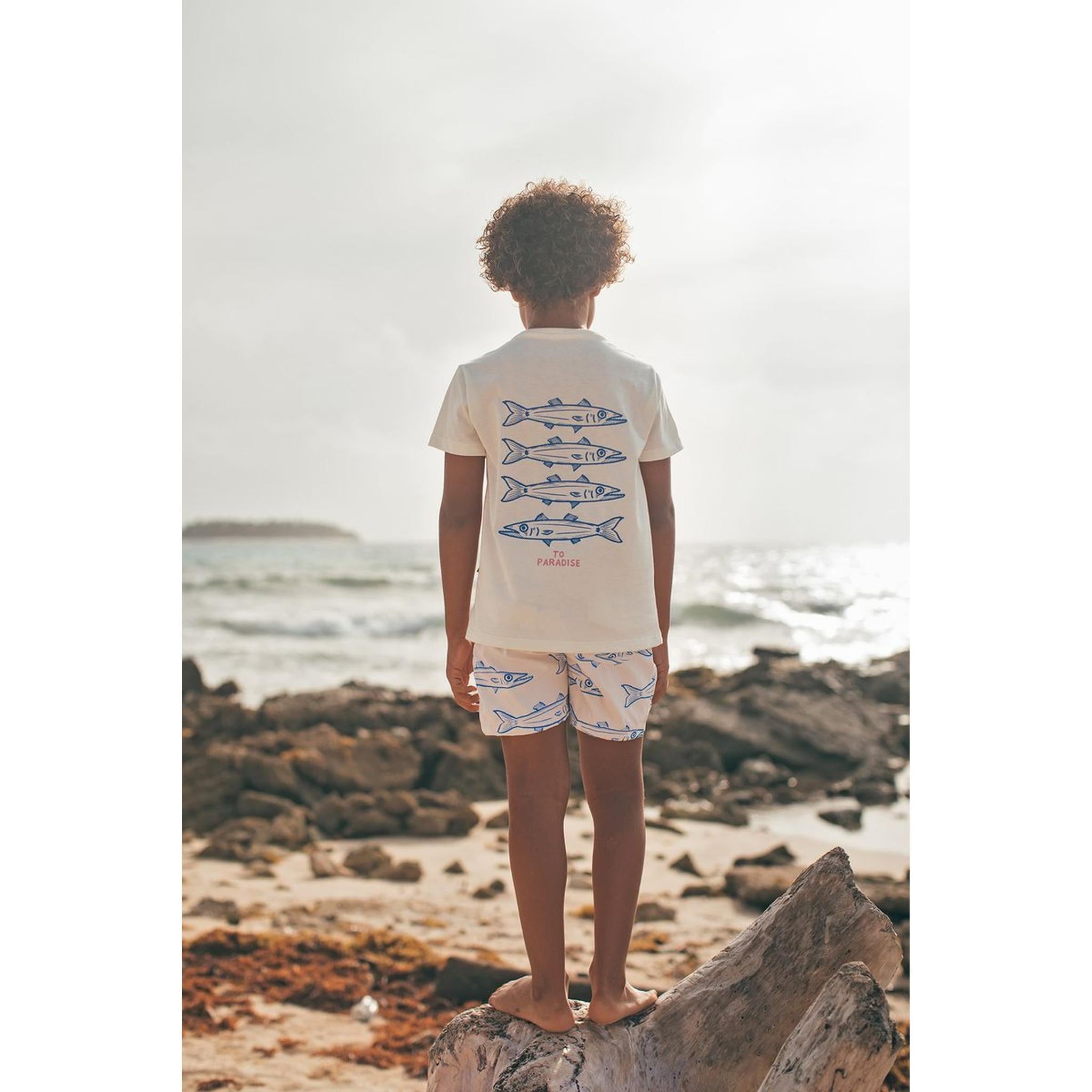 COTTON T-SHIRT - BARRACUDA