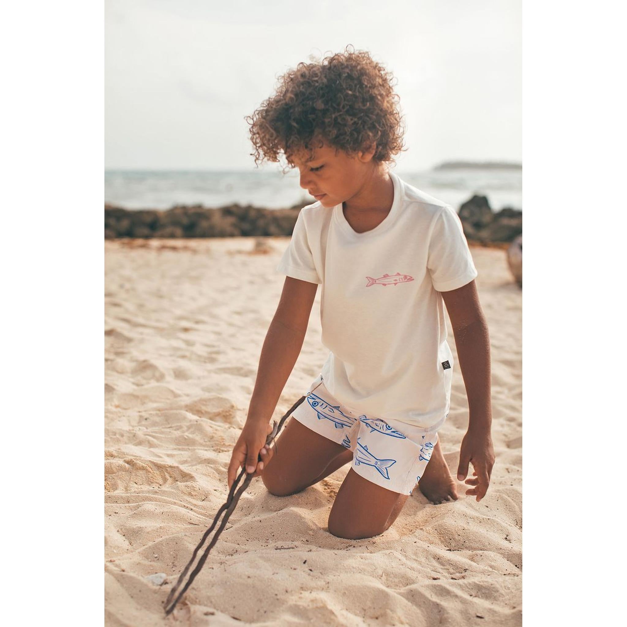 COTTON T-SHIRT - BARRACUDA