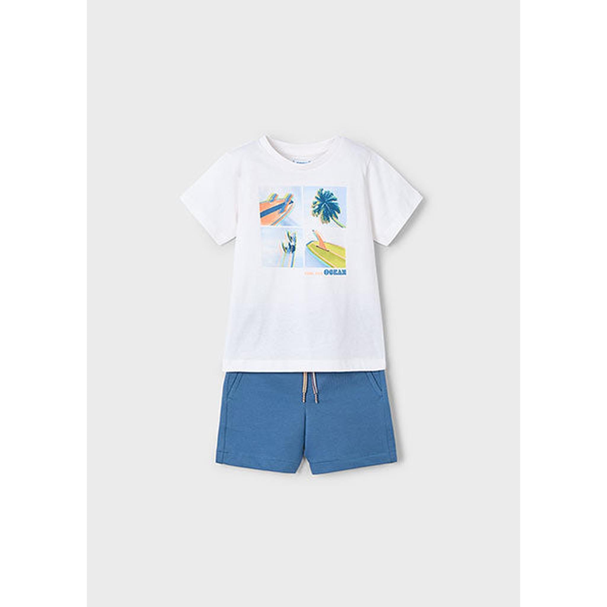 Boy Surf Shorts and T-Shirt Set
