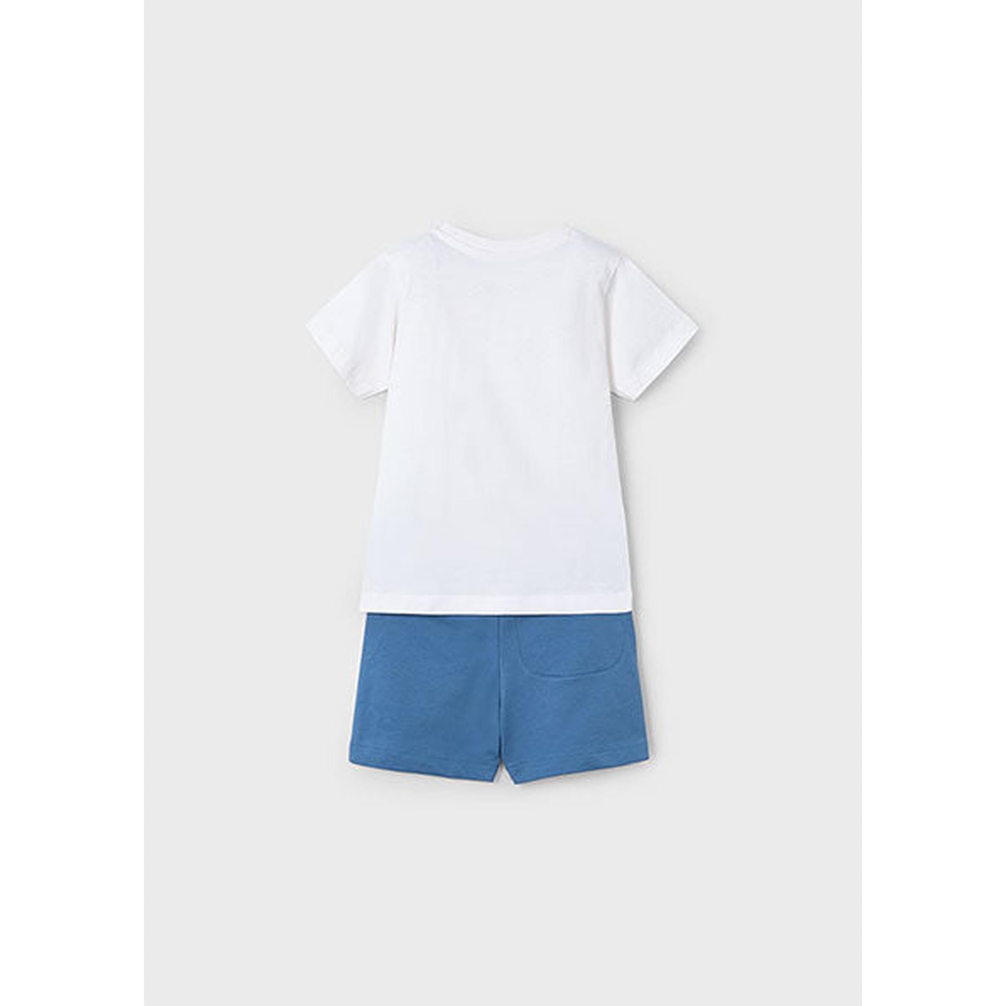 Boy Surf Shorts and T-Shirt Set