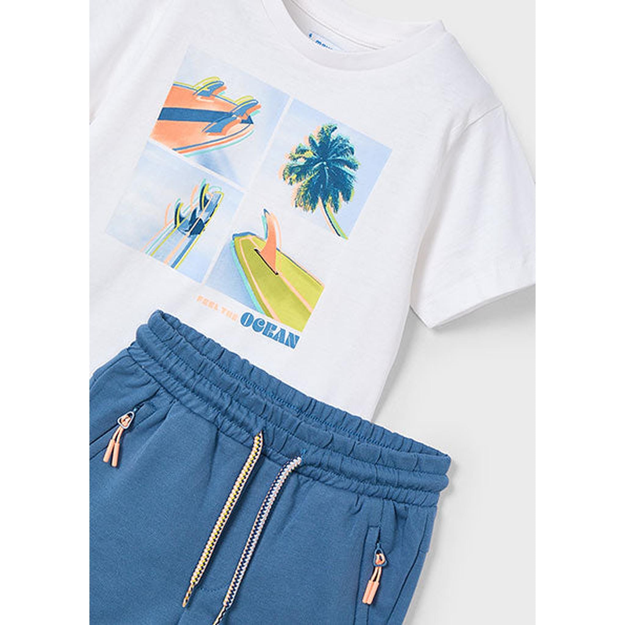 Boy Surf Shorts and T-Shirt Set