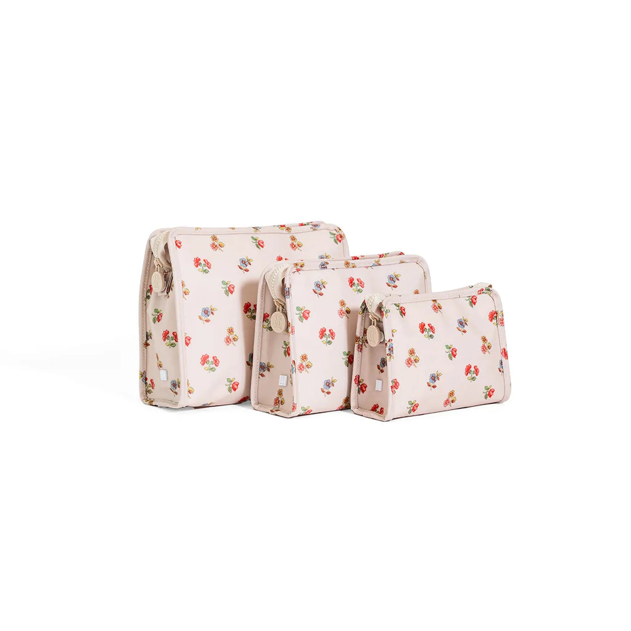 ROADIE SMALL Zip Pouch - CHARLOTTE