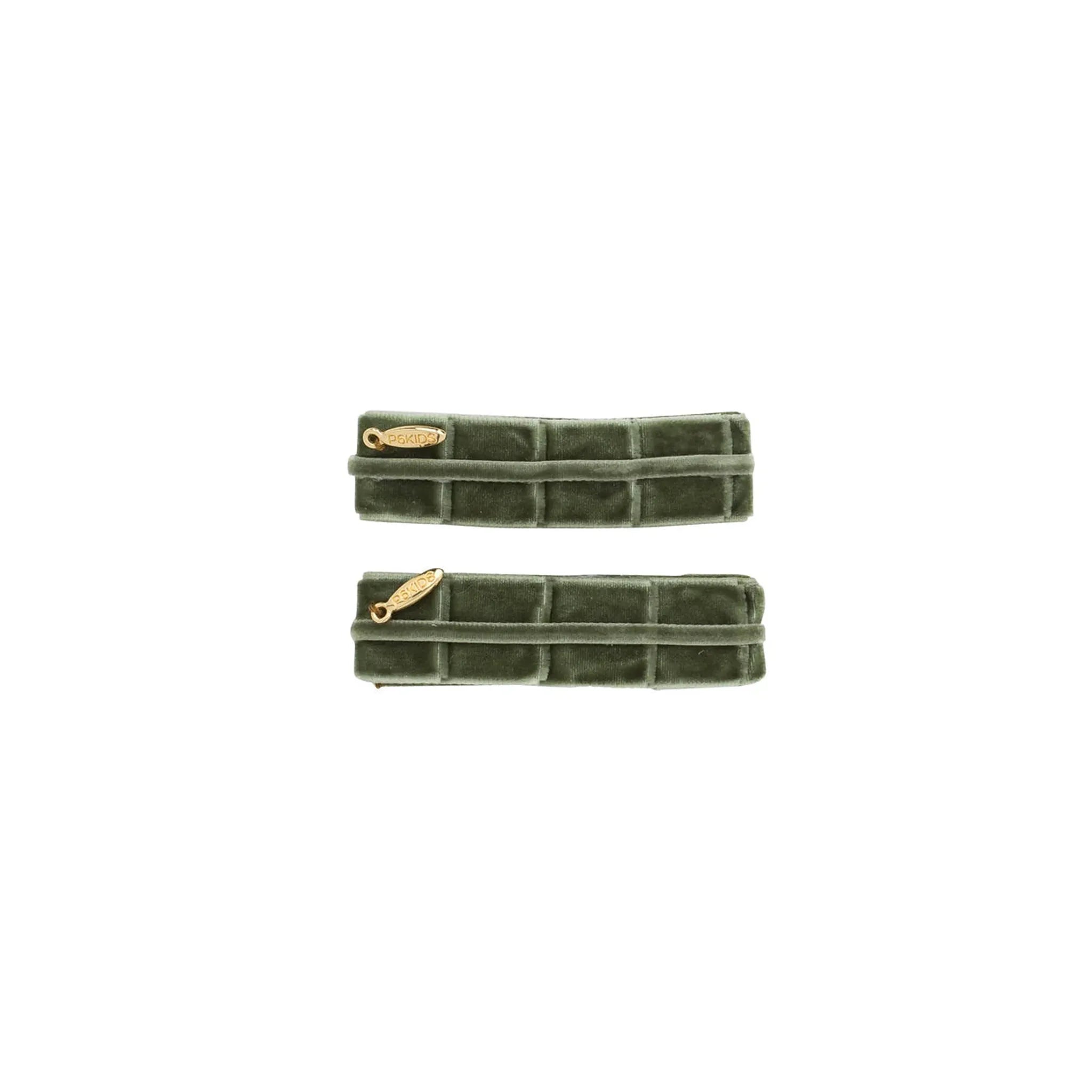 Pristine Pleats Clip Set of 2 - Several Colors