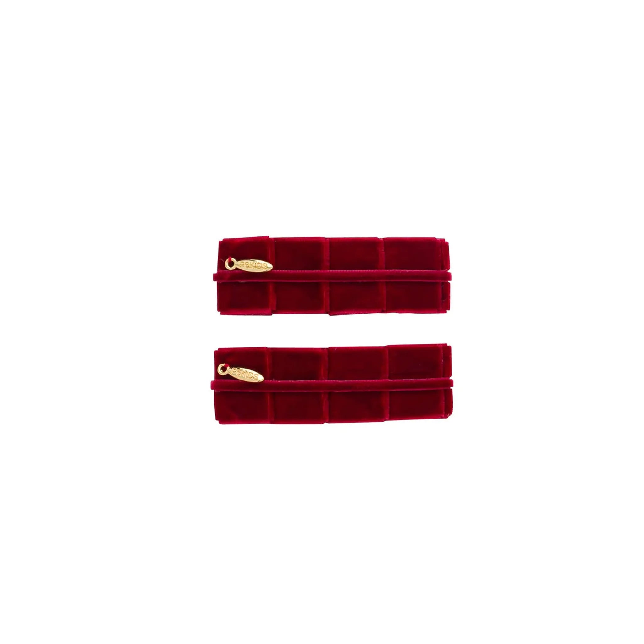 Pristine Pleats Clip Set of 2 - Several Colors