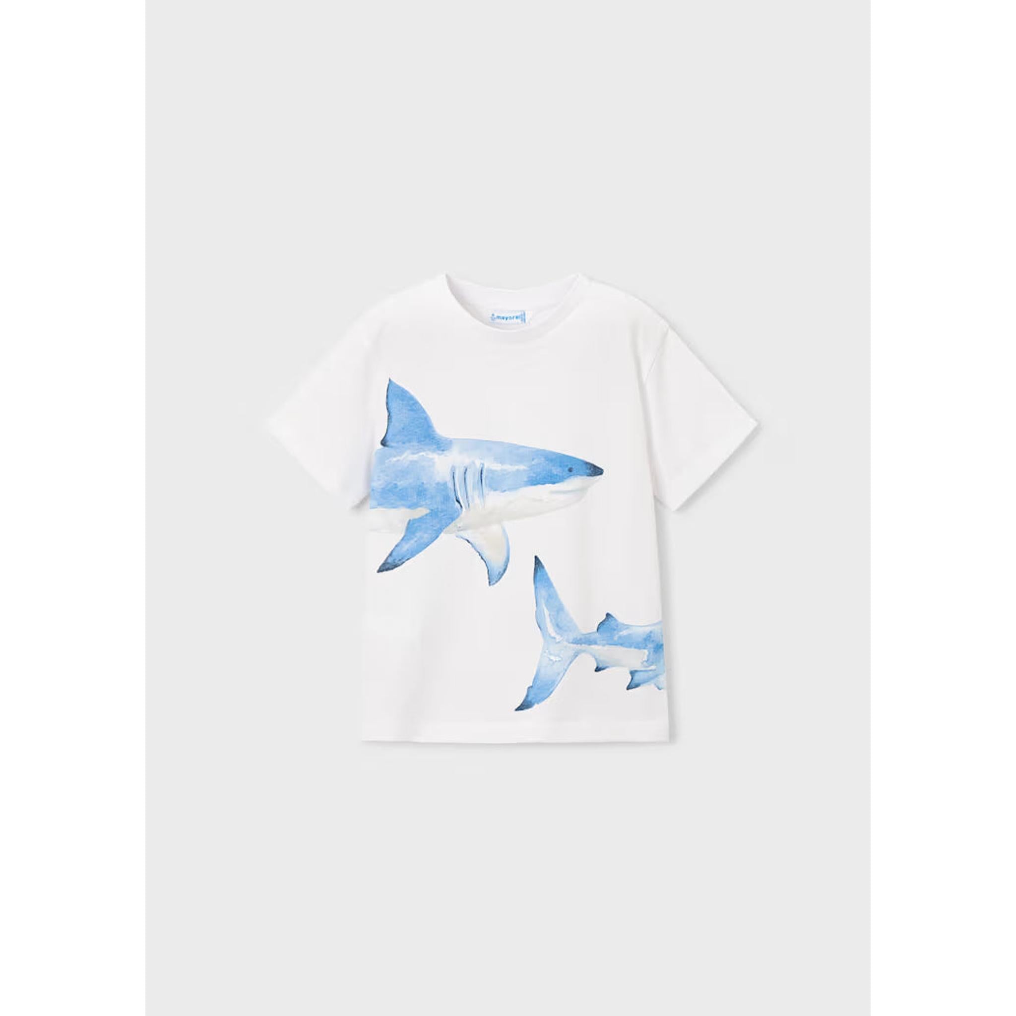 Boy Shark Graphic T-shirt Short Set