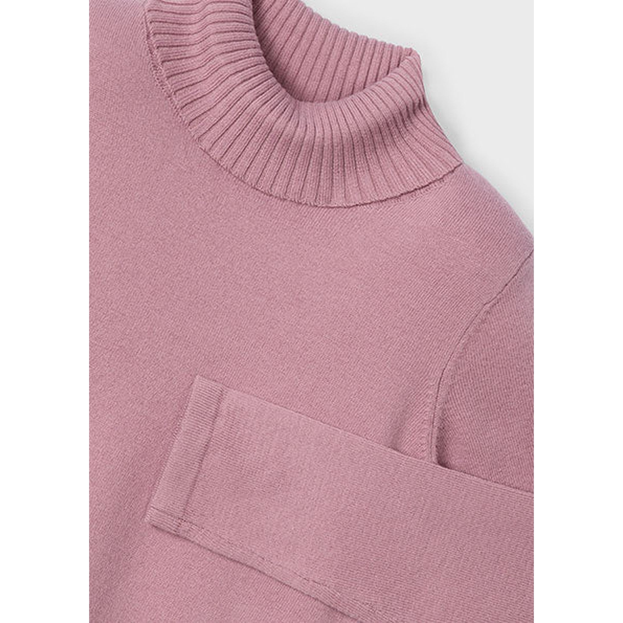 Basic Knit Turtleneck