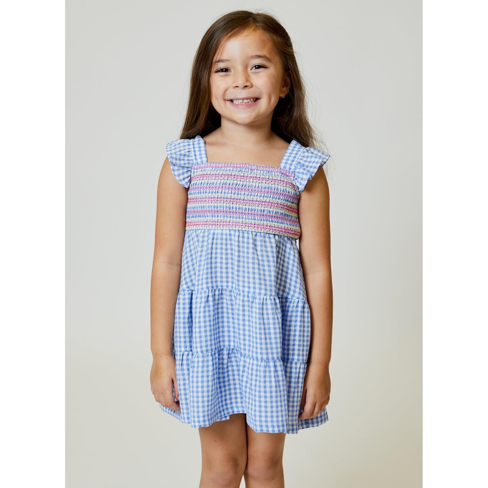 Blue Gingham Dress