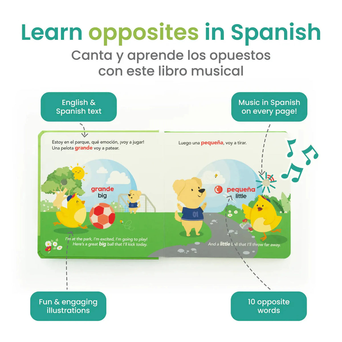 Opposites At The Park Bilingual Musical Book