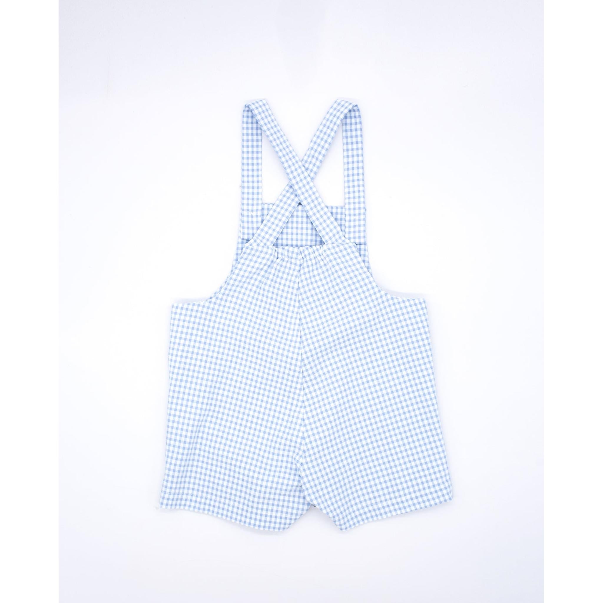 Dungaree Gingham