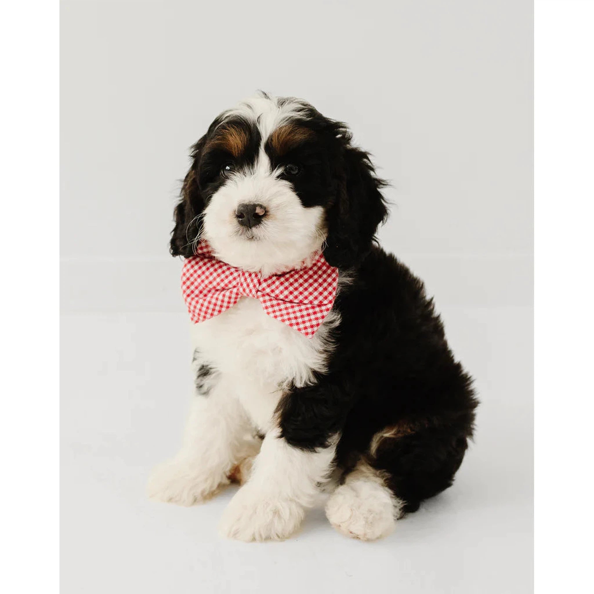 Red Mini Gingham Dog Bow Tie