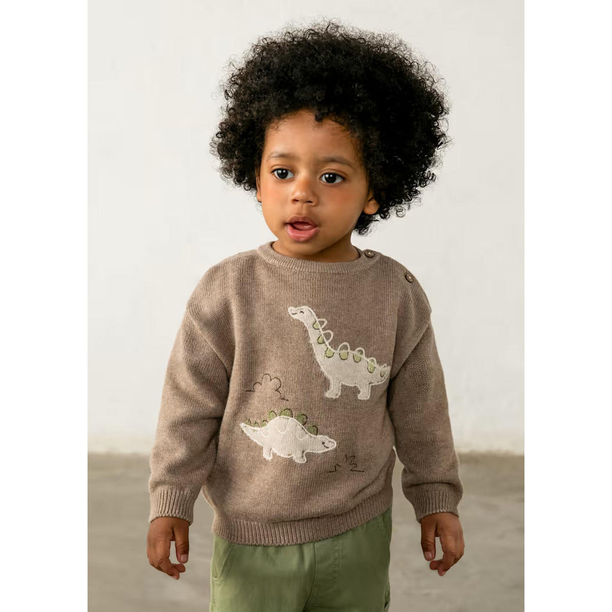 Baby Dino Sweater