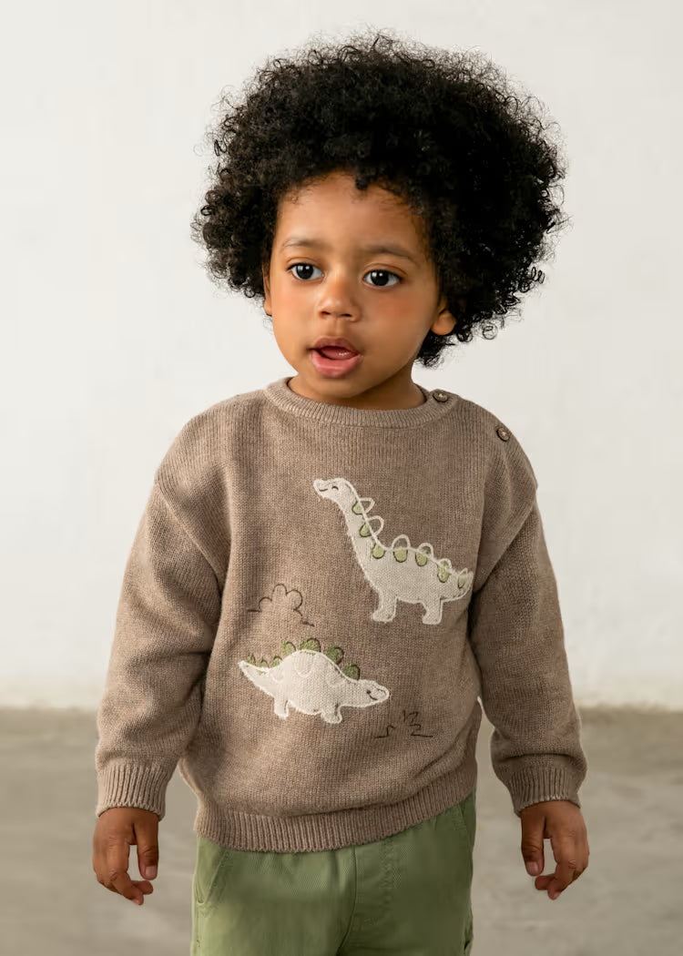 Baby Dino Sweater