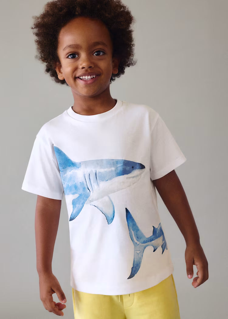 Boy Shark Graphic T-shirt Short Set