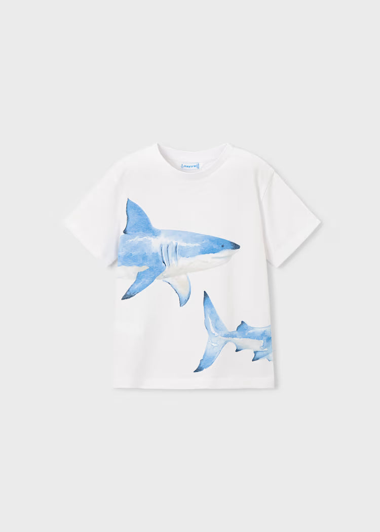 Boy Shark Graphic T-shirt Short Set