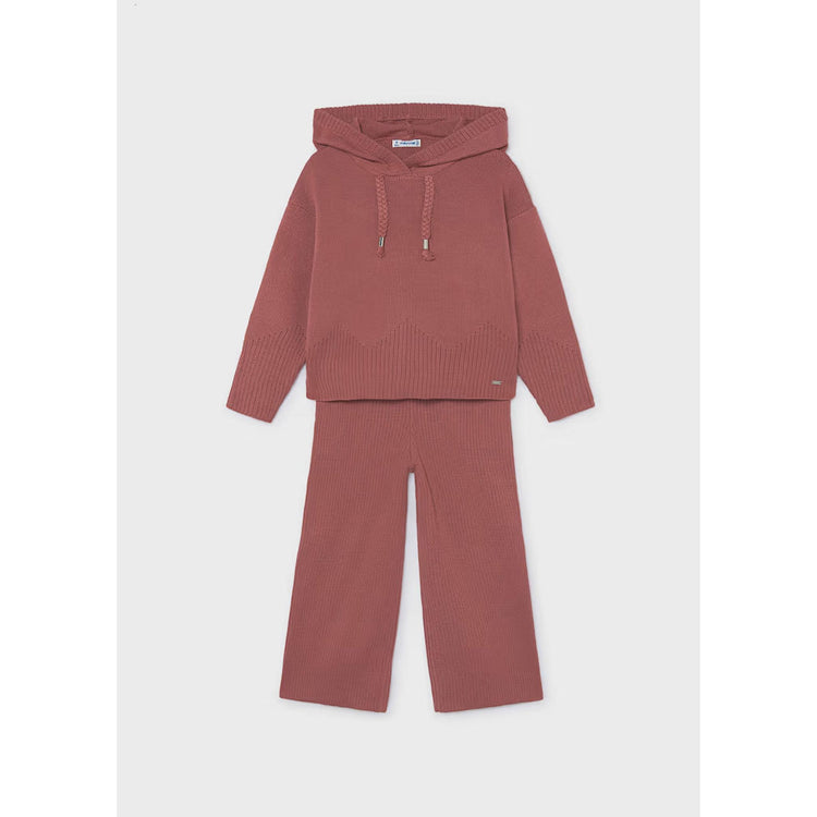 Girl Hoodie and Pants Set