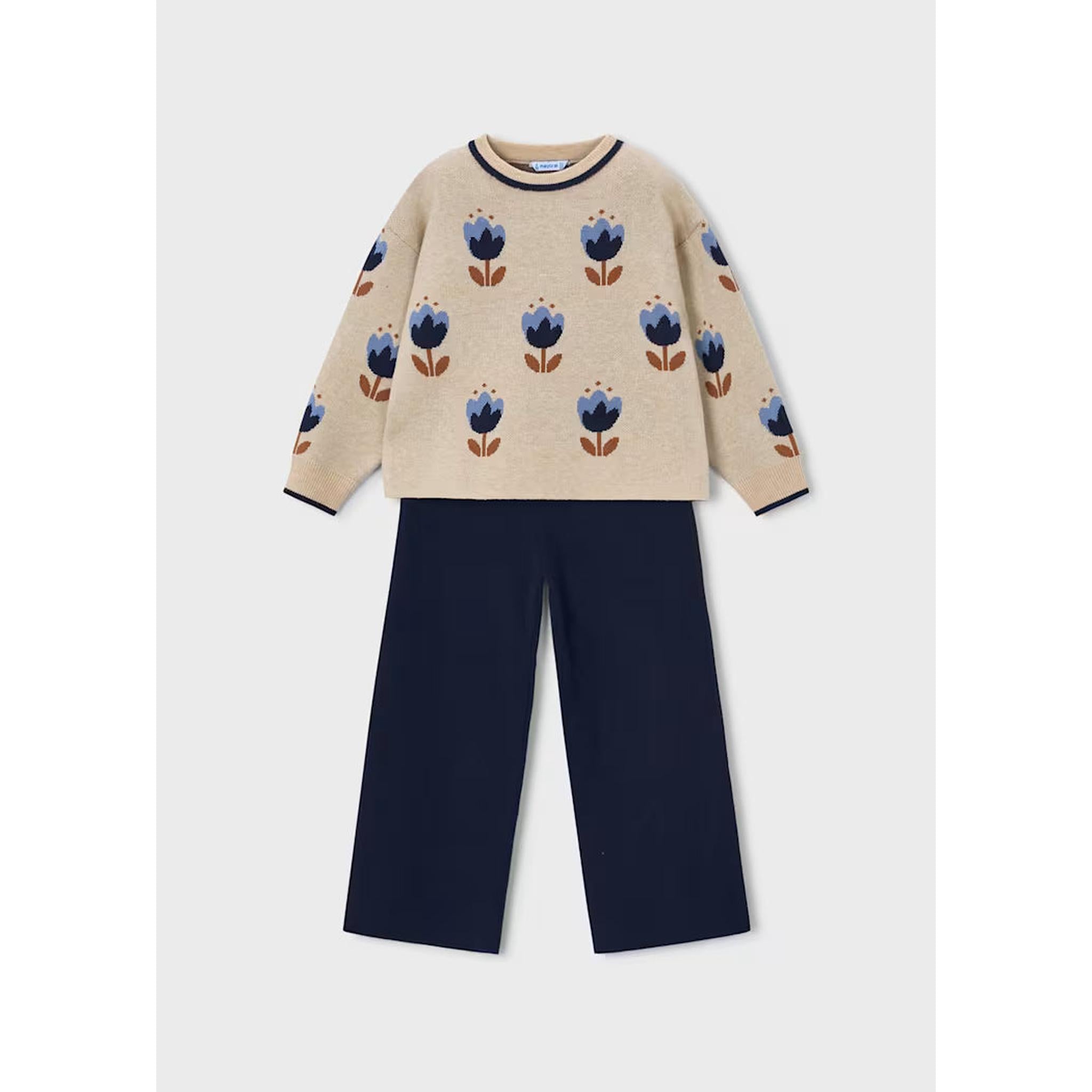 Girl Sweater and Pants Set